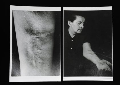 Colecția Prof. univ. dr. Vasile Bogdan