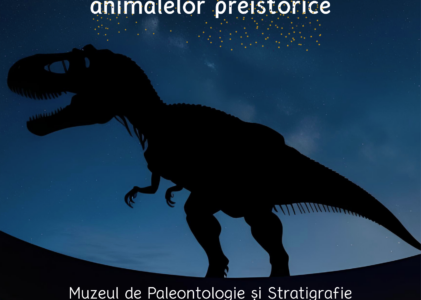 Noaptea Muzeelor 2025 la Muzeul de Paleontologie-Stratigrafie: „O noapte în compania animalelor preistorice”