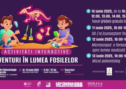 Aventuri în lumea fosilelor