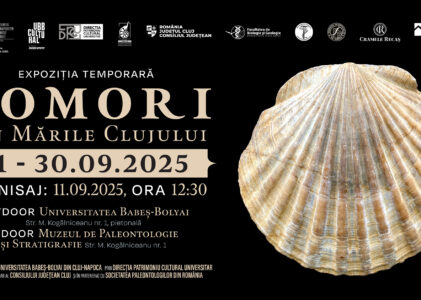 Expoziția „Comori din mările Clujului” – eșantioane din patrimoniul Muzeului de Paleontologie și Stratigrafie
