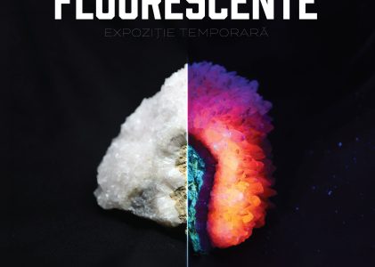„În lumea mineralelor fluorescente”
