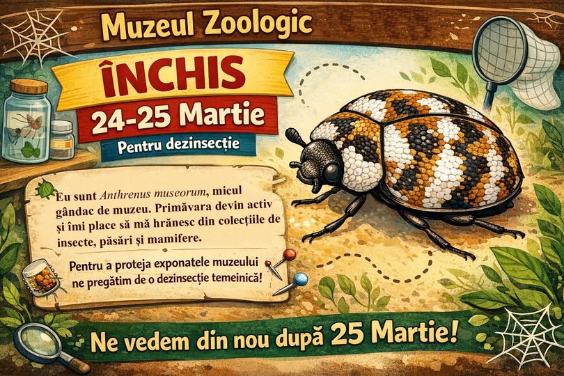 Lucrări de dezinsecție la Muzeul Zoologic