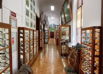 Închiderea temporară a Muzeului de Paleontologie și Stratigrafie