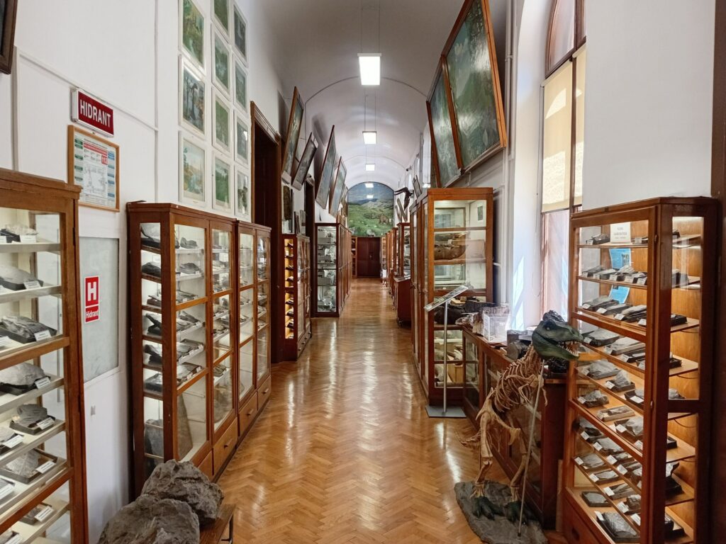 Închiderea temporară a Muzeului de Paleontologie și Stratigrafie