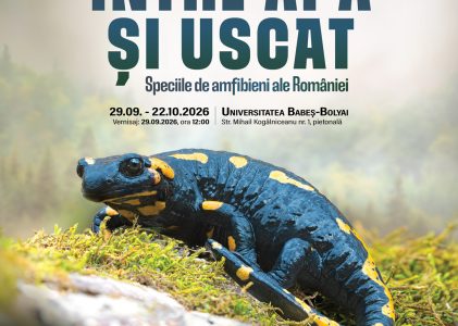 Expoziția temporară „Între apă și uscat. Speciile de amfibieni ale României”.