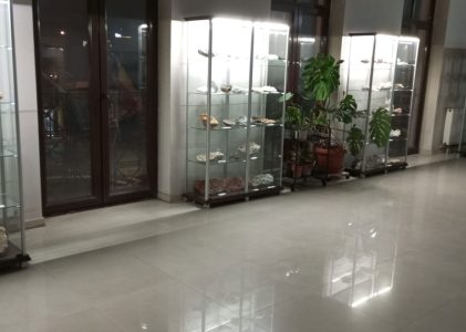 Muzeul Florilor de Mină 